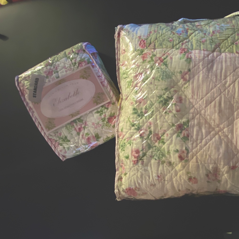 NEW Twin quilt plus sham